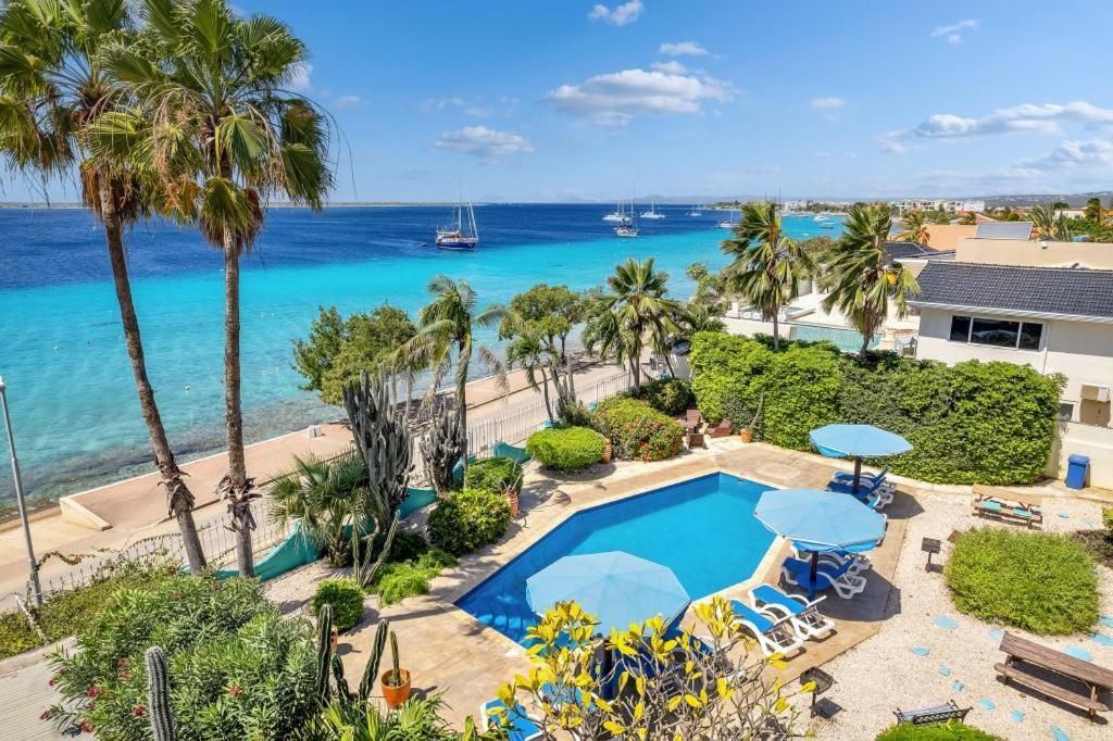 קרלנדיק Bonaire Oceanfront Apartments מראה חיצוני תמונה