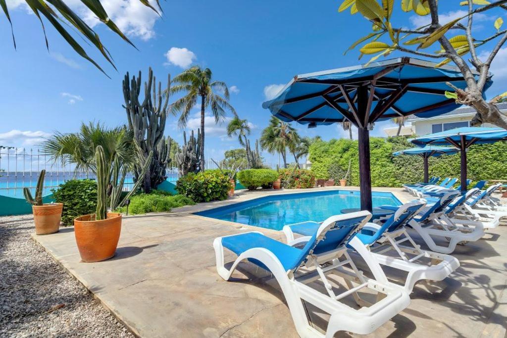 קרלנדיק Bonaire Oceanfront Apartments מראה חיצוני תמונה